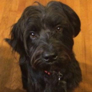 Meet your Posher, Sue